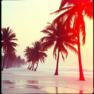 Island of Love