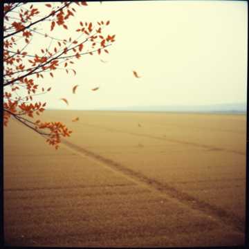 Lost Memories of Yesterday