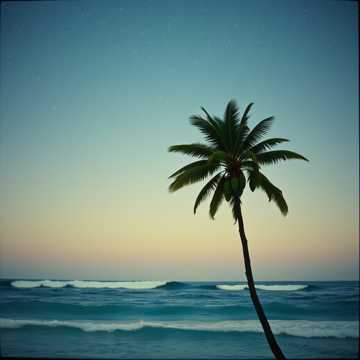 Smile Across the Sea