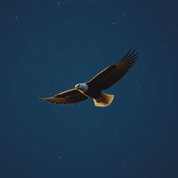 Soaring Minds