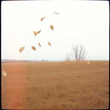 Lost Memories of Yesterday